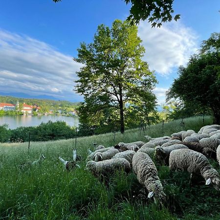 Seeblick Chiemgau, Haus Am Weinberg, 83370 Seeon Oberbayern Dış mekan fotoğraf