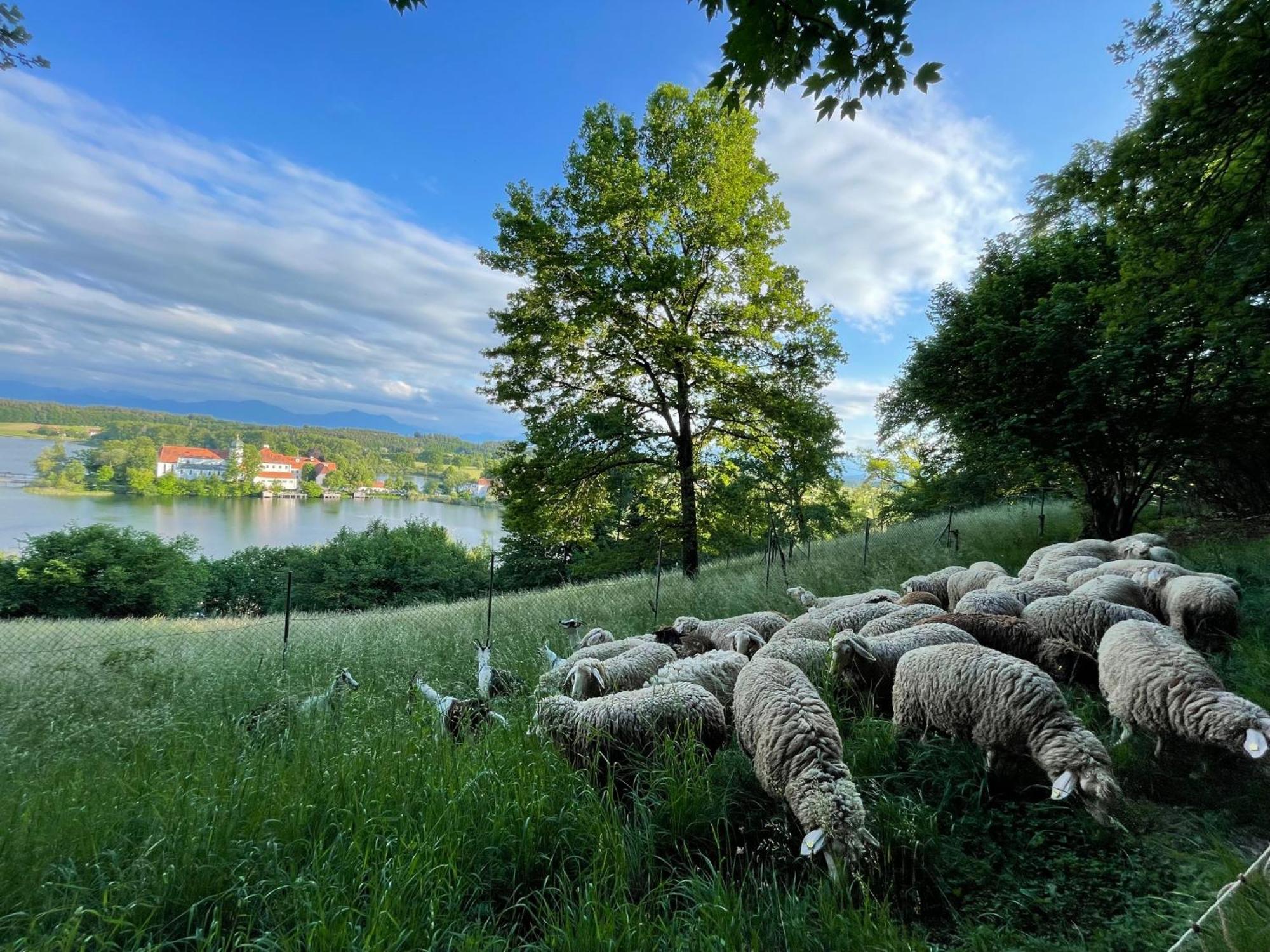 Seeblick Chiemgau, Haus Am Weinberg, 83370 Seeon Oberbayern Dış mekan fotoğraf